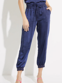 Cary Navy Pant