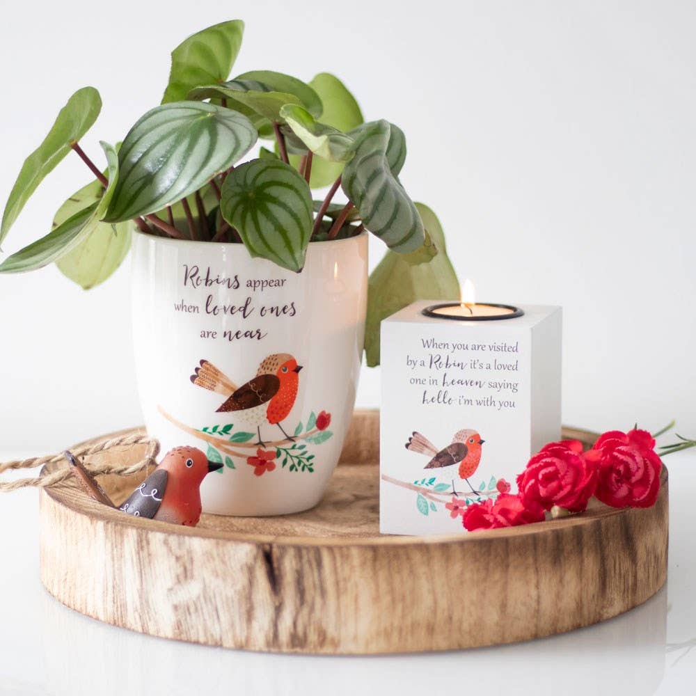 Garden Robin Ceramic Plant Pot